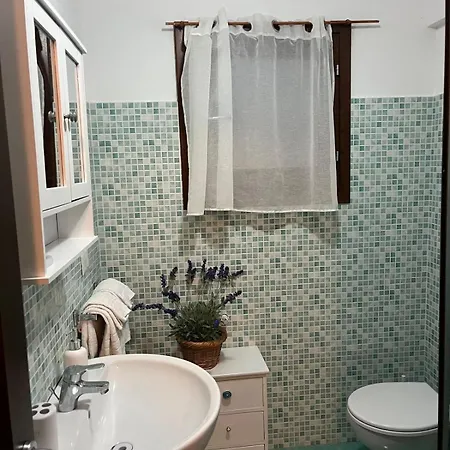 Apartament And Life